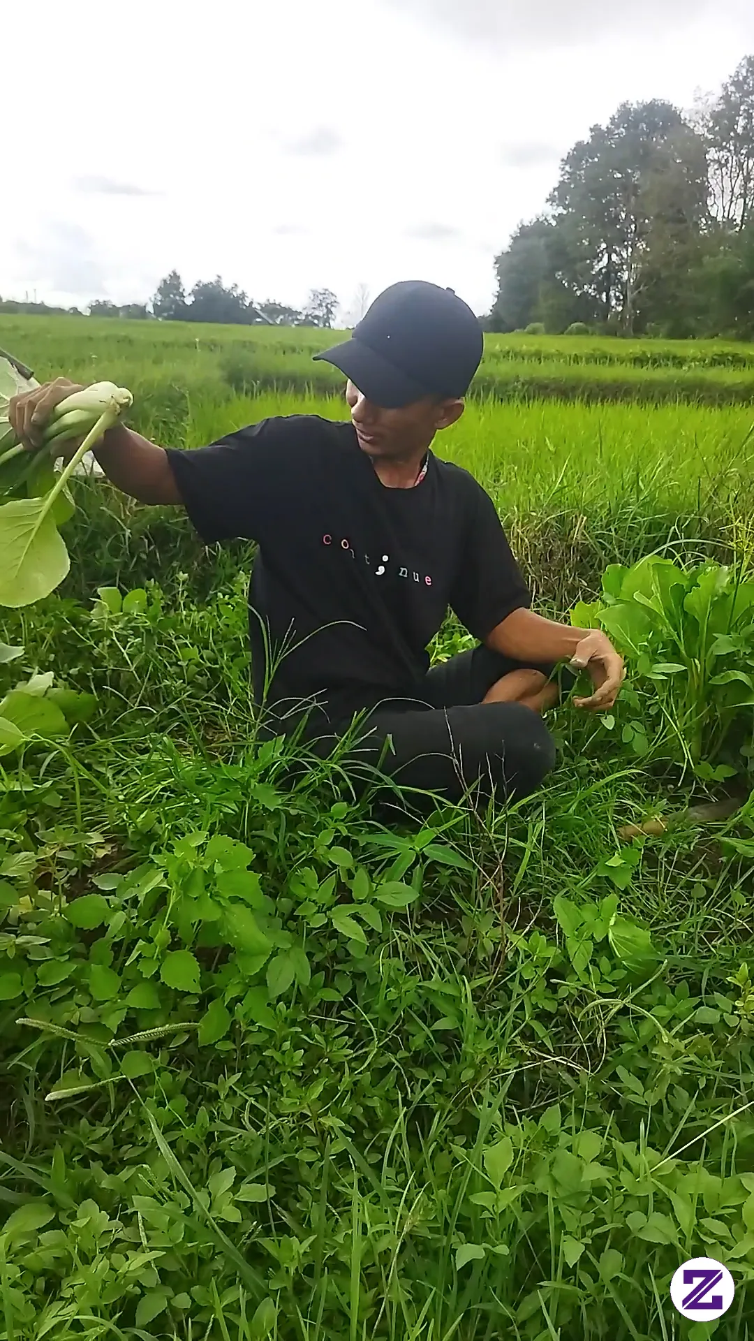Panen Sayur Sosin Dulu Bosku 🙏🏻