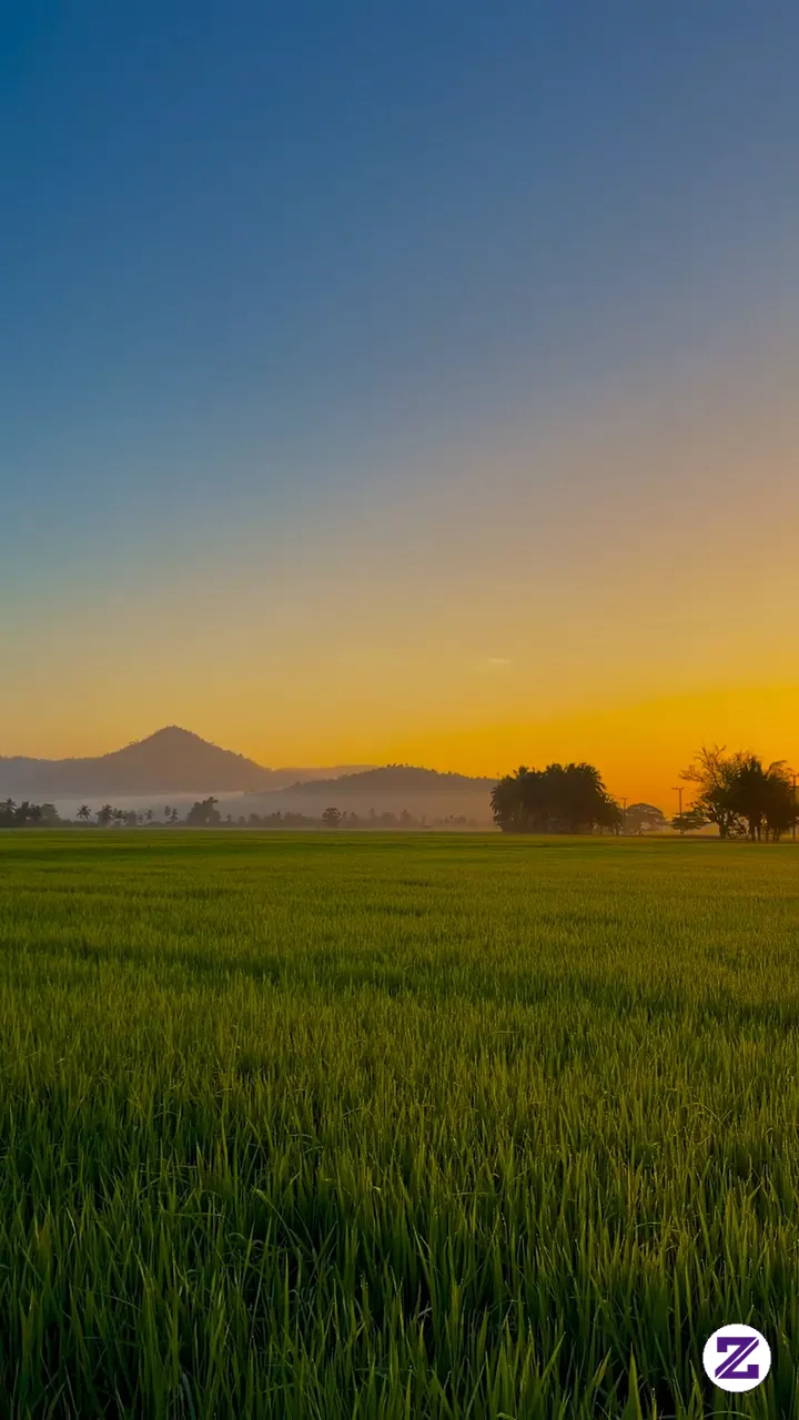 Indahnya Pemandangan Di Sore Hari
