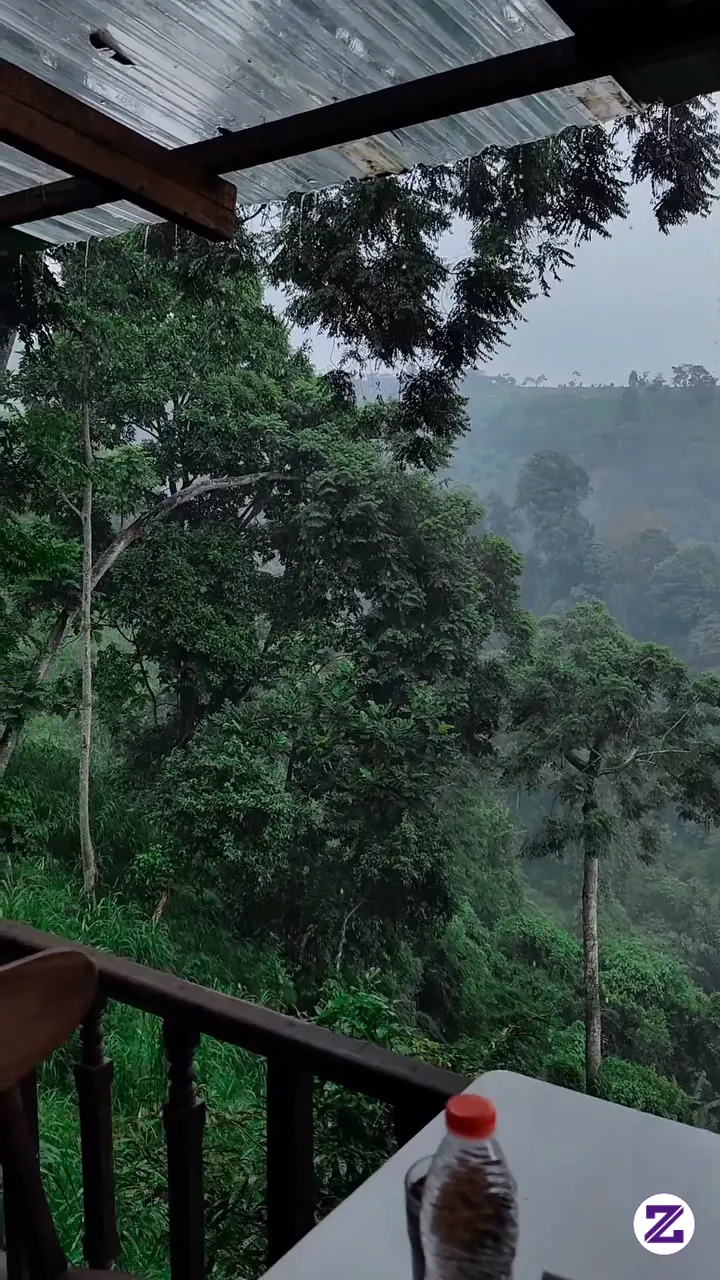 Melihat Pemandangan Dari Atas Sungguh Indah