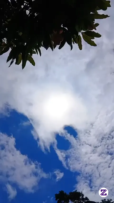 Selamat Pagi Dunia Tipu Tipu