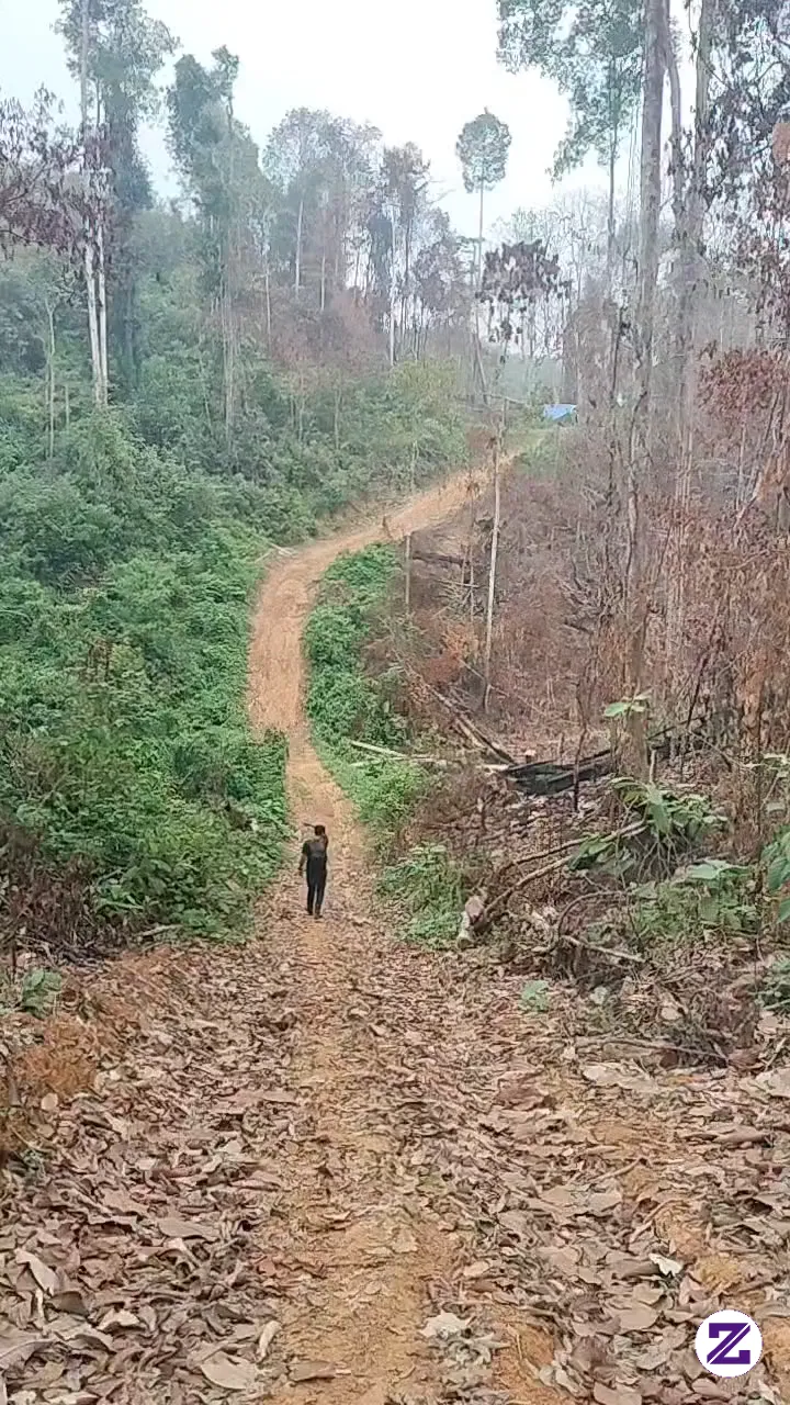 Efek Habis Hujan Jadi Jalan Kaki