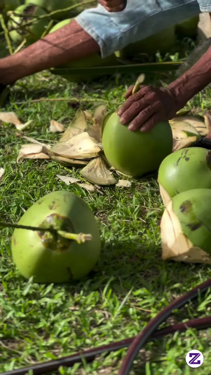 Panas-panas Gini Enaknya Minum Air Kelapa Muda Biar Segar