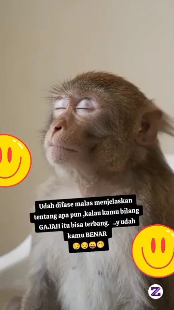 Jadilah Org Yg Selalu Mengalah Biar G Cape Mikir .
