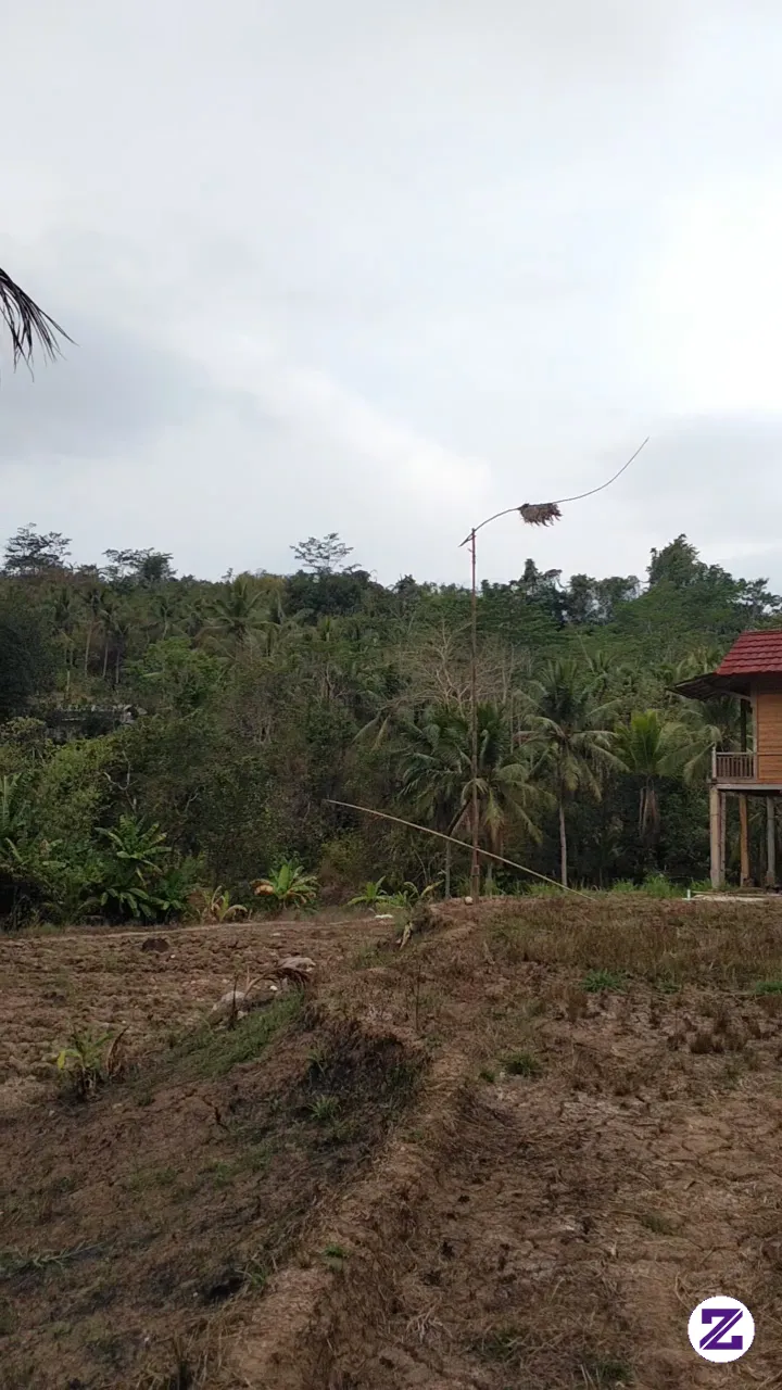 Kampung Sekitaran Palabuhanratu..Cocok Buat Ngaliwet Mah Tempatnya