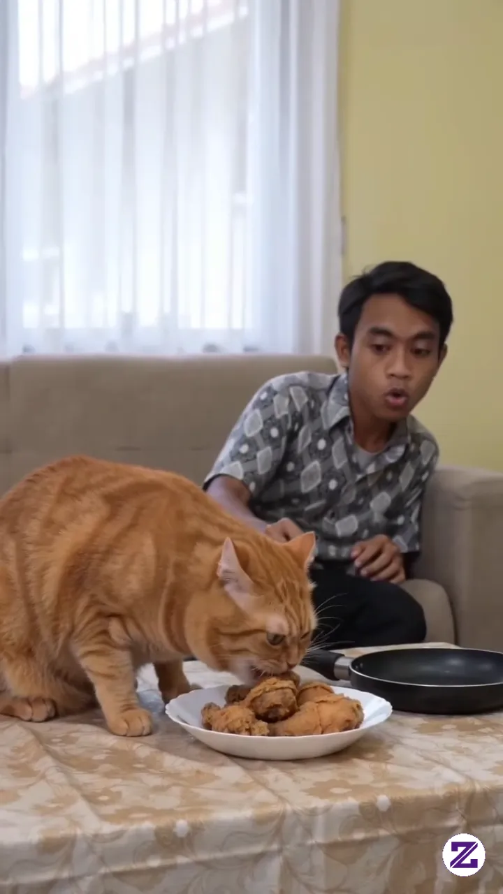 Si Oyen Pelit