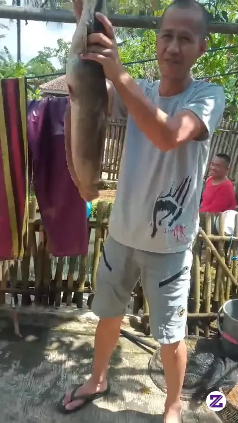 Mancing Mania