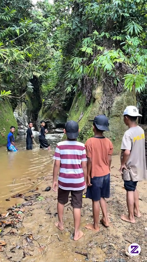 Ternyata Banyak Kerang Di Sini