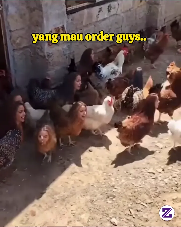 Info Bibitnya Guys 🤣🤣