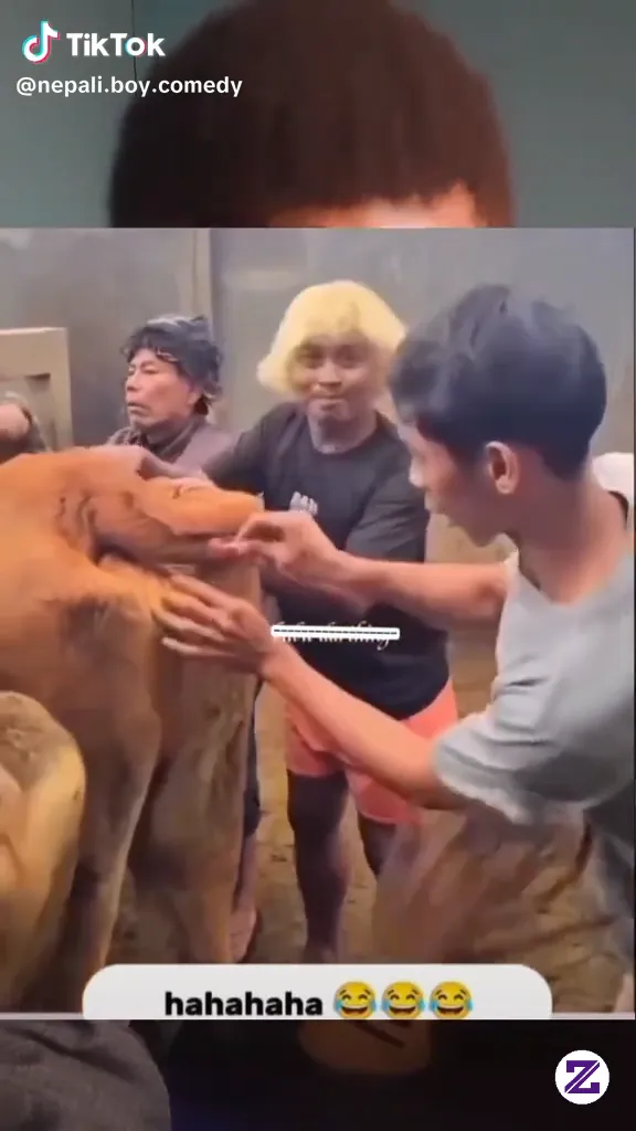Jangan Di Buka Nantii Muall Hahah
