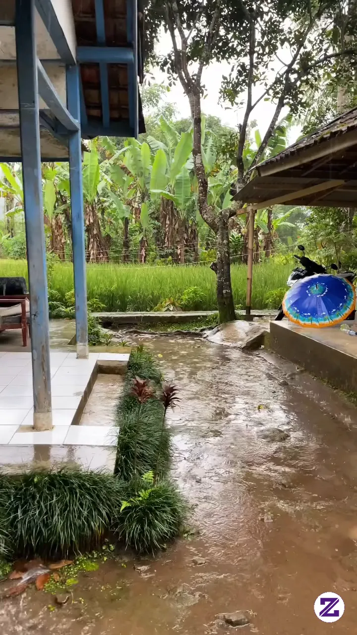 Suasana Syahdu Hujan Di Pedesaan Yang Indah🏡✨