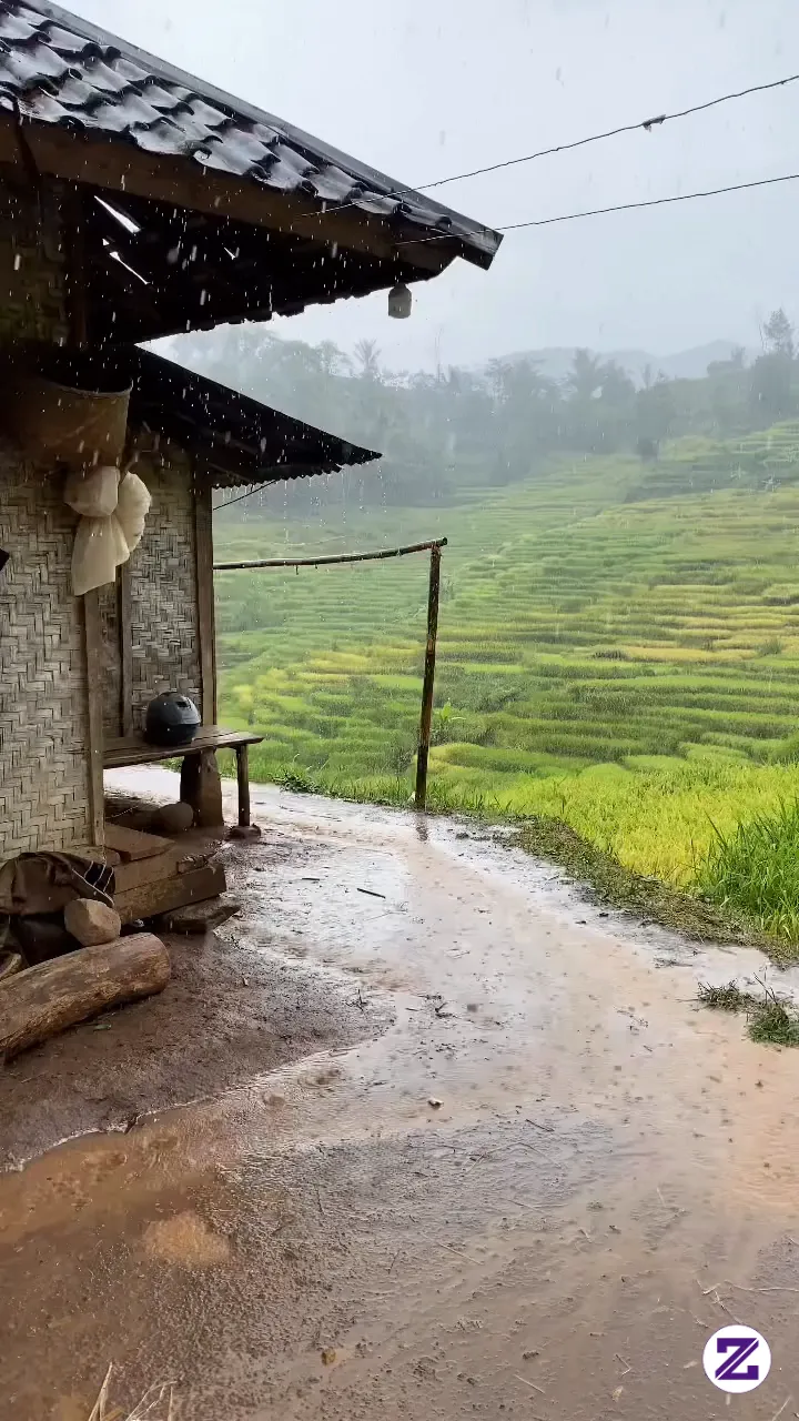 Beginilah Suasana Hujan Deras Di Kampung Dekat Hamparan