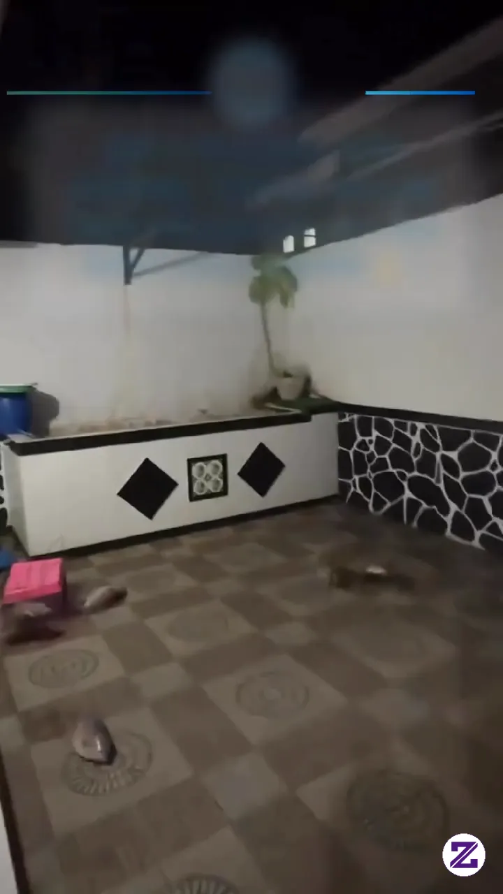 Ada Apa Gerangann? Apa Ada Kucing