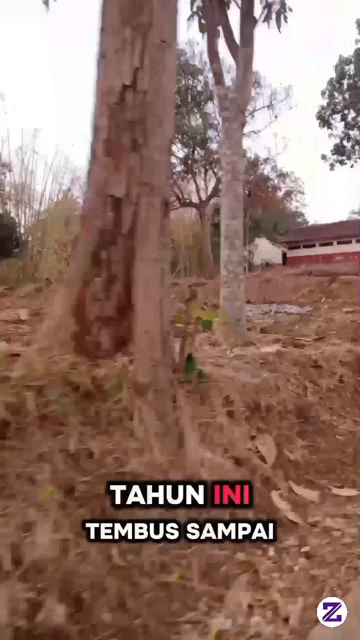 Iya Juga Sih 😁