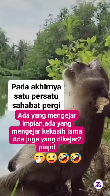 Tulis Di Kolom Komentar Mitos Atau Fakta