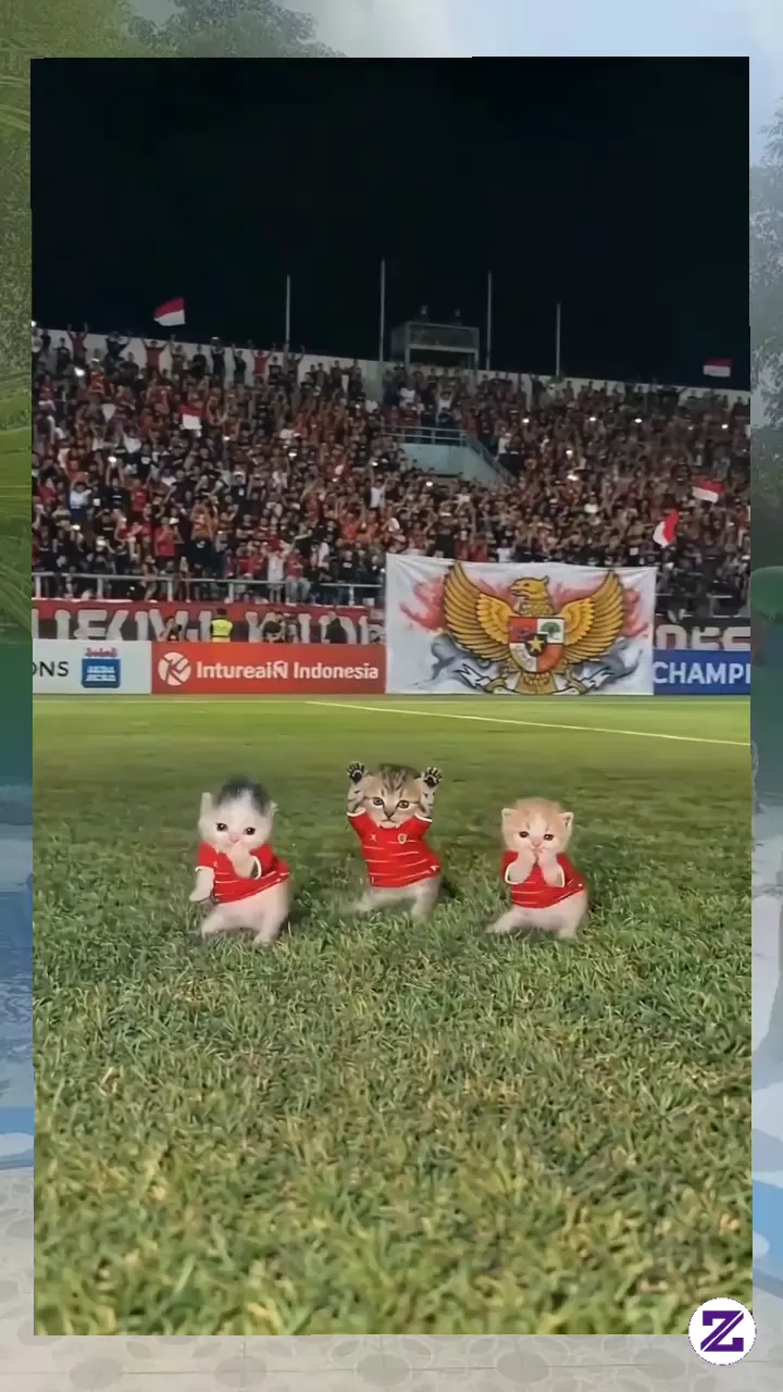 TIMNAS INDONESIA