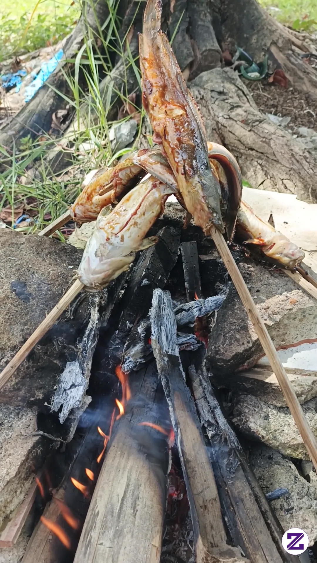 Grill Catfish Outdoors.