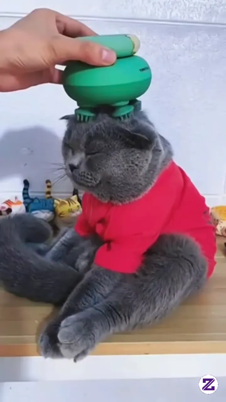 Lagi Bersantai Kawan Biar Relax Nih Abis Main Cape Jadi Nya