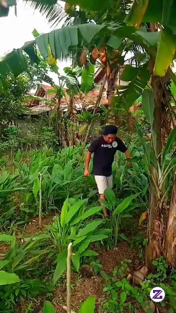 Di Kerjain Hantu