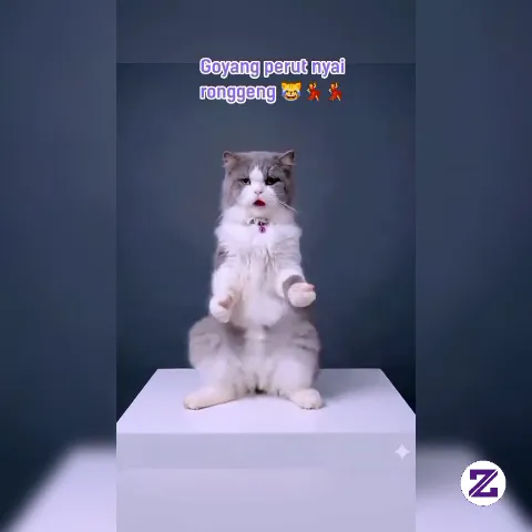 Goyang Perut Nyai Ronggeng