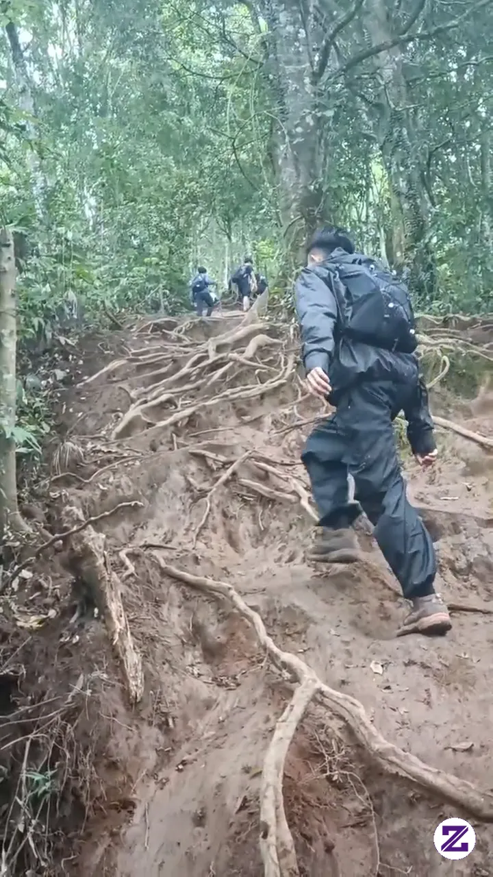 Berjalanlah Jangan Berlari Sebab Perjalan Bukan Pelarian.