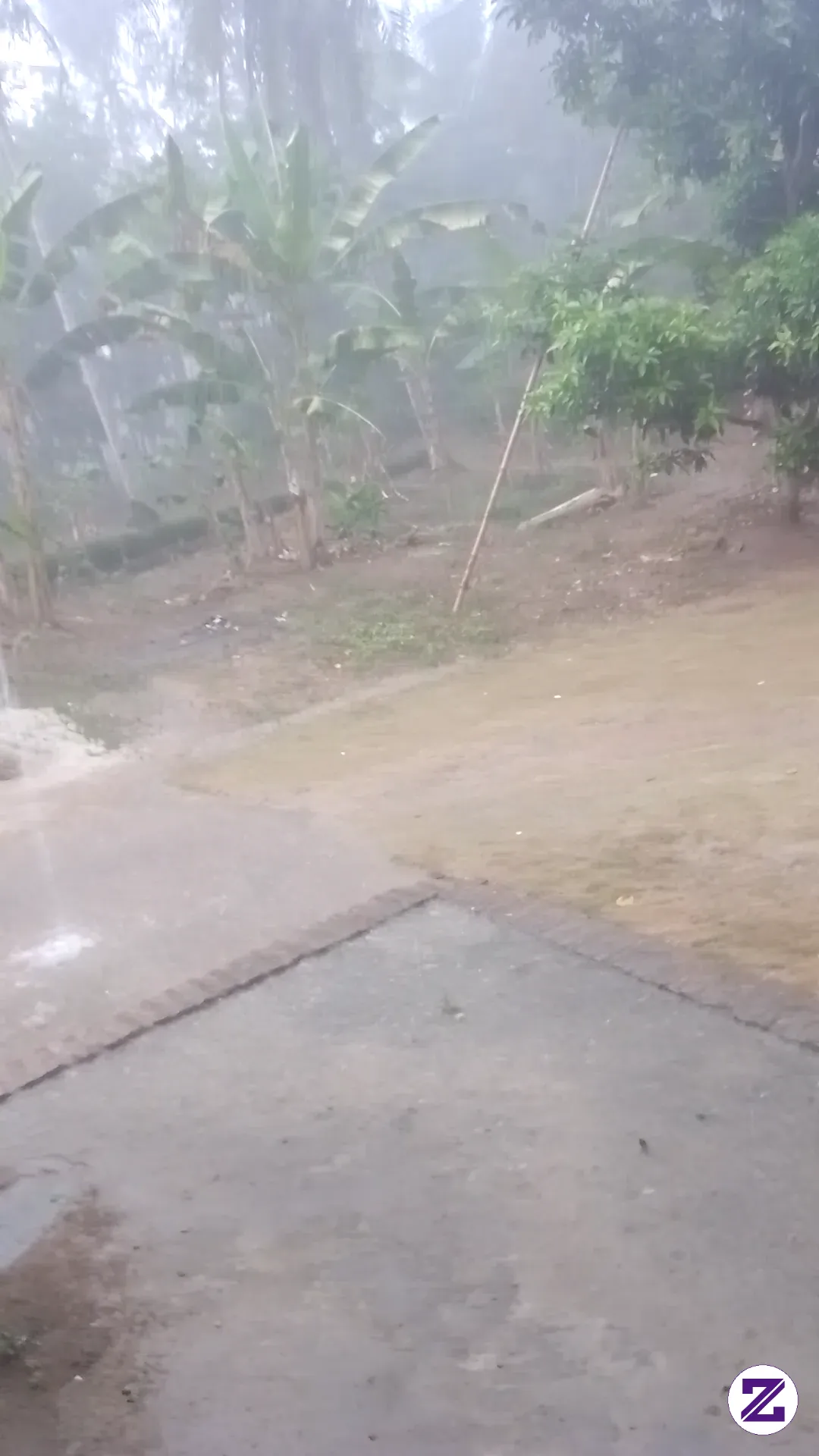 Hujan Pertama Setelah Kemarau Panjang 😍
