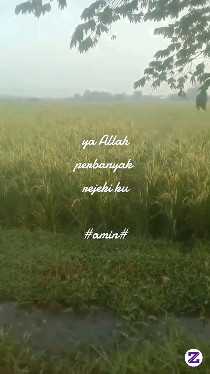 Selamat Pagi Semua